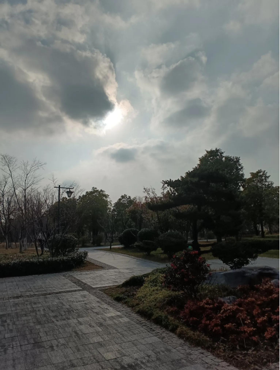 包含球场风云变幻，胜负一刻难分高下的词条